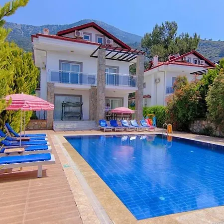 Villa ölüdeniz Ovacıkta 5 Yatak Odalı, 12 Kişilik , Müstakil Havuzlu 2 *